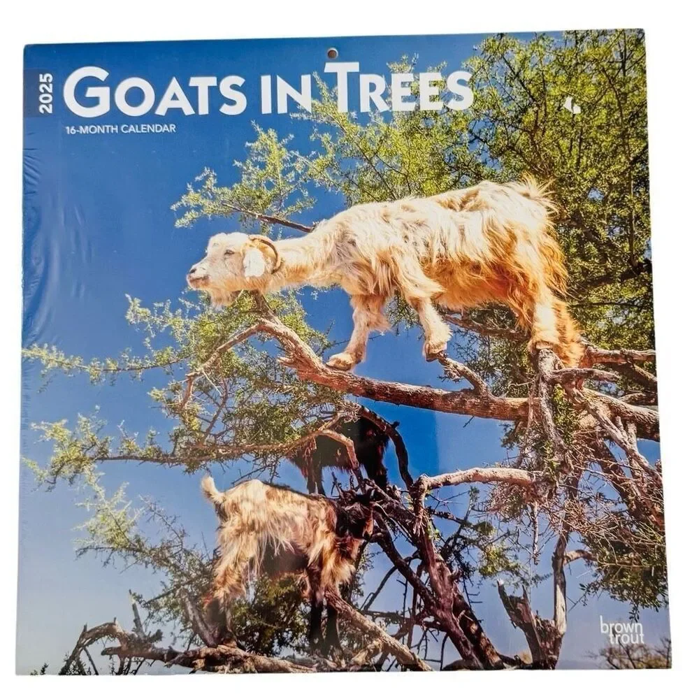 Brown Trout Goats in Trees 2025 12 x 12 Wall Calendar 16 month NEW